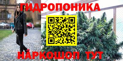 гашик Бузулук